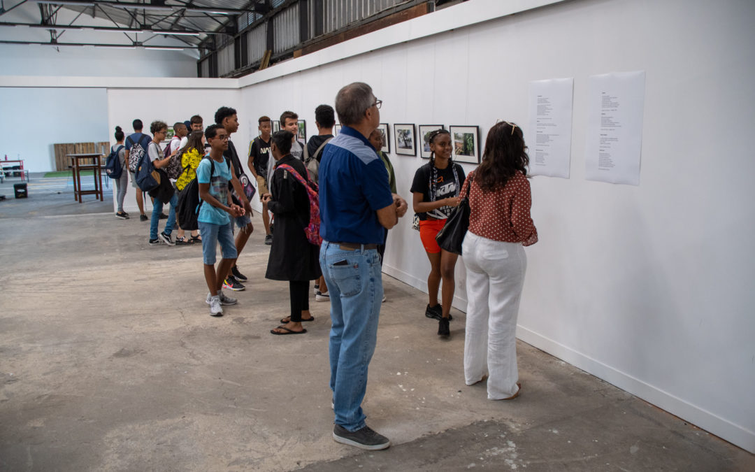 Arbres connus et méconnus : Exposition jusqu’au 24 septembre à la Friche