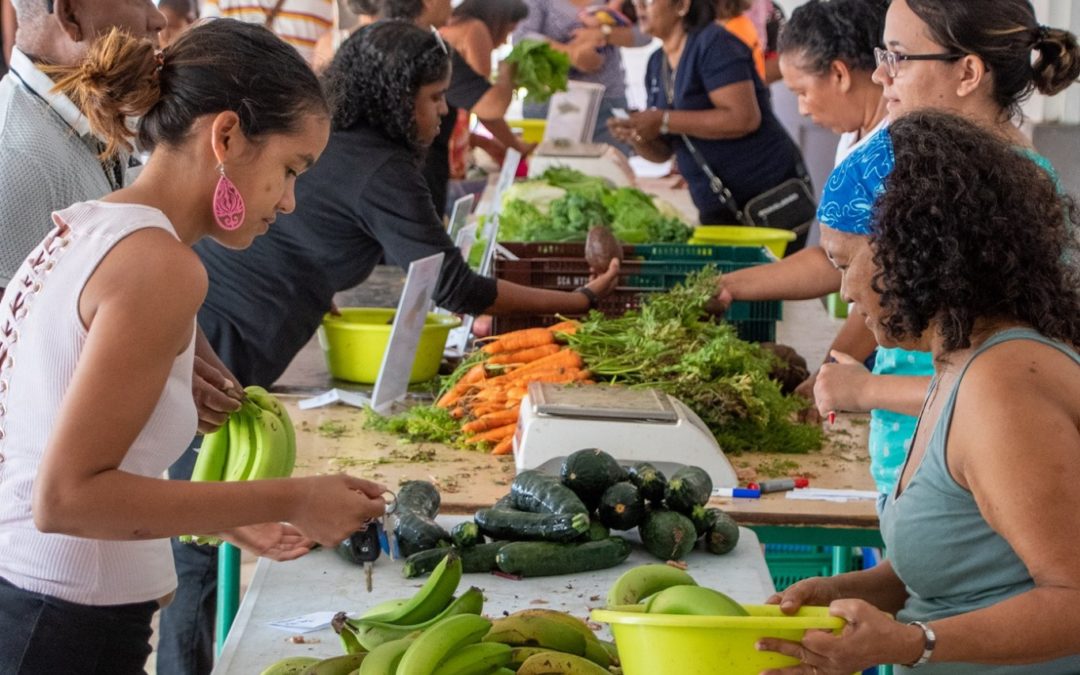 Village Santé et Bien-être: Faire le plein de fruits et légumes bio