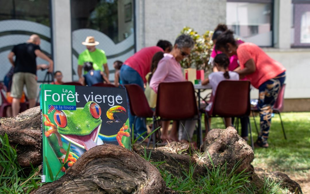 Pié zépinar : « l’arbre à lire » a besoin de vos votes