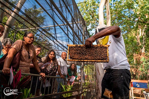 APIdays 2024 : Le Port participe à la sauvegarde de l’abeille