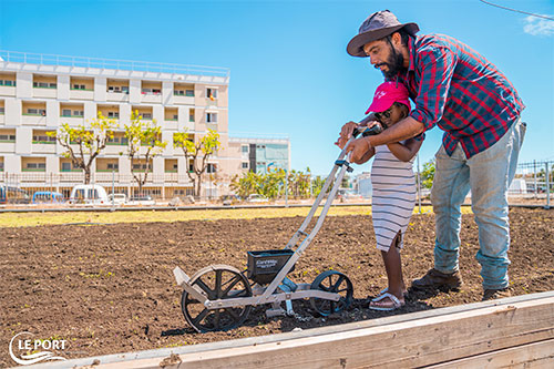 Du riz dans ma ville : nouveau cycle de plantation