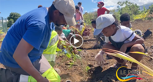 1200 arbres plantés par des enfants sur les berges de la rivière des Galets