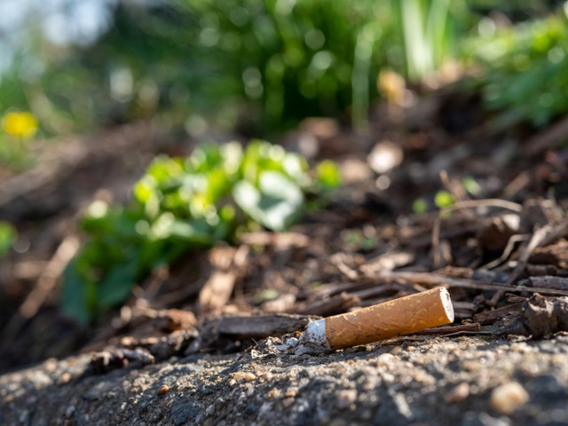 Le Port s’engage dans la lutte contre les mégots de cigarette dans la nature